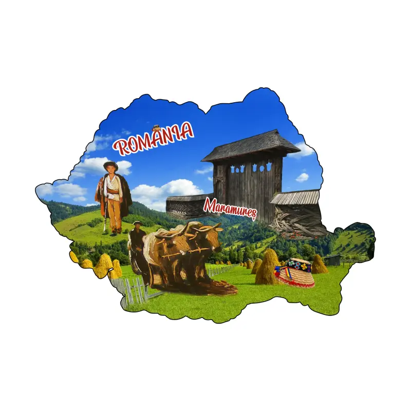 Mgs203-magnet frigider maramures ro.harta
